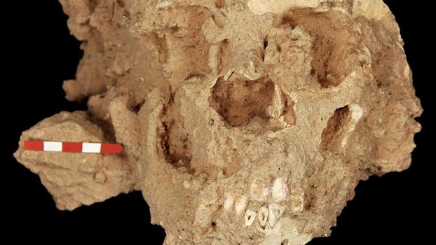 Los Neandertales De La Sima De Las Palomas Ayudan A Desvelar La